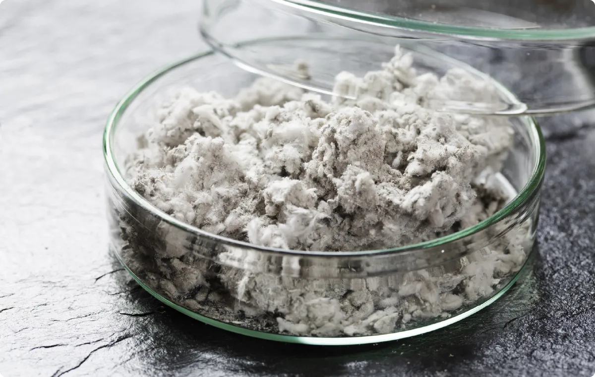 アスベスト除去01